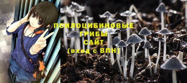 хмурый Богданович