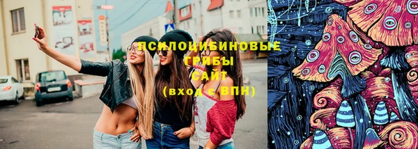 гашик Тында