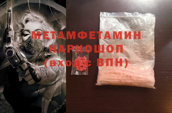 индика Богородск