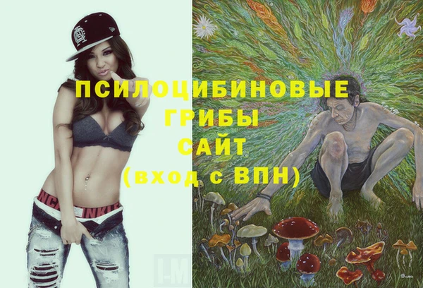 индика Богородск