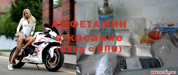 индика Туринск