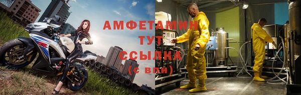 индика Богородск